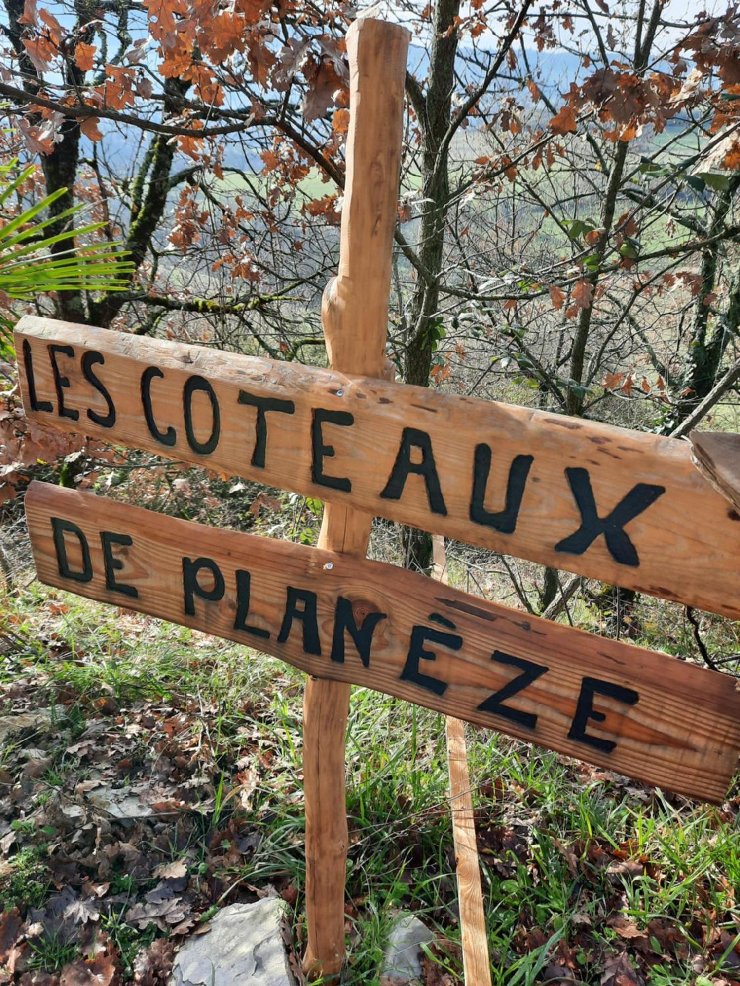 Homestay Les Coteaux De Planeze, Pour 2, 3 Ou Famille Nombreuse 2 Adultes 5 Enfants Et Jeunes